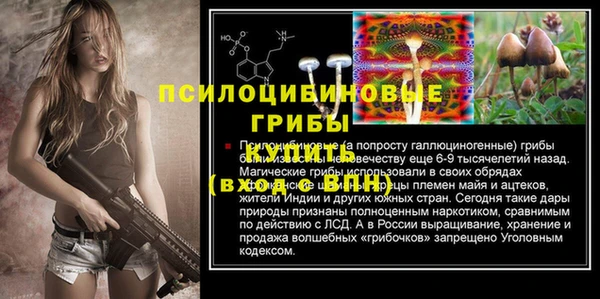 скорость Бородино