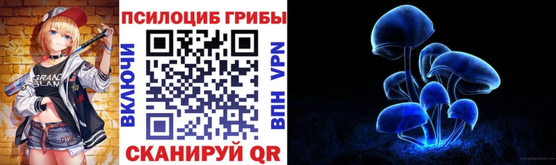 Псилоцибиновые грибы Cubensis  Купить  Оханск 